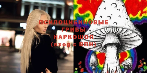 сатива Медвежьегорск