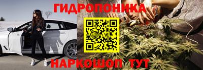 ALPHA PVP Когалым