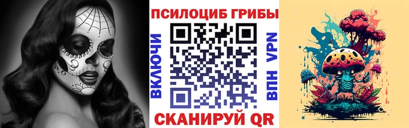 мориарти Telegram  Сердобск  Псилоцибиновые грибы ЛСД 