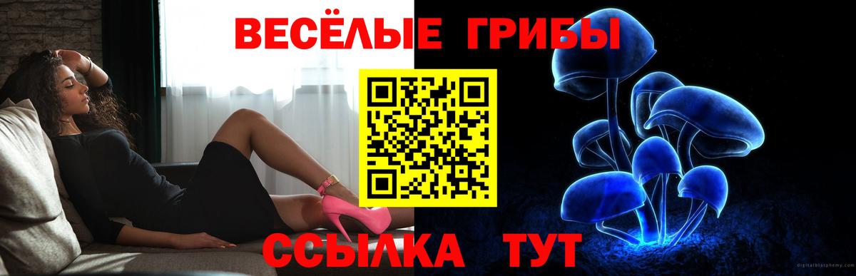Галлюциногенные грибы Psilocybine cubensis Сердобск